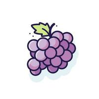 Vector of a bunch of grapes on a plain white background