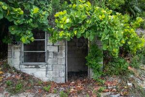 Abandoned cement block shelter photo