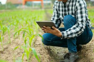 Agriculture technology farmer woman holding tablet or tablet technology to research about agriculture problems analysis data and visual icon.Smart farming photo