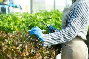 mujer manos jardinería lechuga en granja con crecimiento proceso y químico fórmula en verde antecedentes. foto
