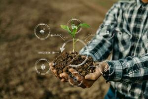 Woman hands gardening lettuce in farm  with growth process and chemical formula on green background. With icon photo