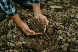 Oldman farmer holding soil in cupped hands photo