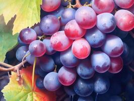 Serene and captivating watercolor depiction of grapes, generative AI photo