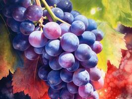 Beautifully rendered watercolor image of grapes, generative AI photo