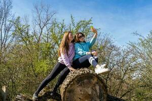 couple of pretty friendly women taking a selfie with smartphone sitting on pile of logs photo