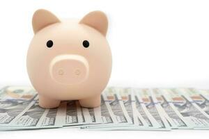 Piggy bank on dollars. business, finance, investment, saving and corruption concept. photo