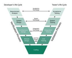 el validación y verificación software desarrollo proceso modelo para el v forma modelo vector