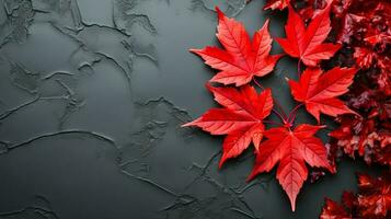 Red maple leaves on rough black background, ideas for an autumn banner with copy space. AI generated photo