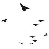 Flock Of Birds Vector Art, Icons, and Graphics for Free Download