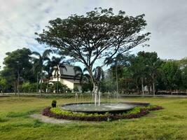 Shady trees in a city park in the city of Mataram, Lombok island, Indonesia photo