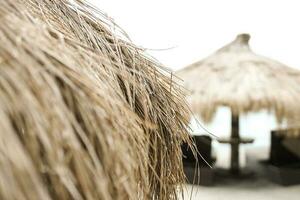 Close up of beach umbrella photo