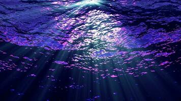 Underwater light filters down through rolling ocean waves - Loop video