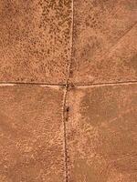 Worn skin. Old worn leather surface. Vintage leather background photo