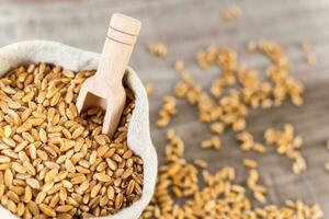 Close up of raw wheat grain and wooden spoon in burlap sack. Agricultural background. photo