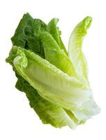 Fresh lettuce, isolated on blank background photo