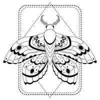 Magic mystic moth in doodle style, line art isolated, boho celestial esoteric symbol, tatoo or print. Vector illustration