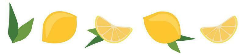 Fresh lemon set. Vector flat style illustration. Bright collection of colorful juicy lemons isolated on white. Citrus icon of whole fruit and slice with leaves. Design element for package, print, logo