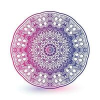 Colorful mandala background vector