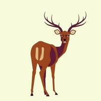 illustrations of animals deers in the world for children's education vector