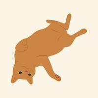 Cat single cute vector