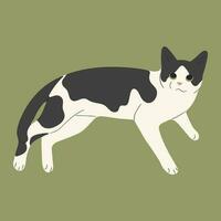 Vector cat single cute