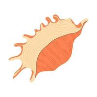 Sea shell. Marine conch, mollusc in seashell. Underwater triton mollusk. Ocean under water shellfish. Exotic beach decoration. Flat vector illustration isolated on white background