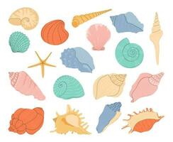 Tropical seashell. Cartoon clam, oyster and scallop shells. Colorful underwater conches of mollusk and sea snail. Ocean shellfish vector set isolated on white. Colorful undersea elements