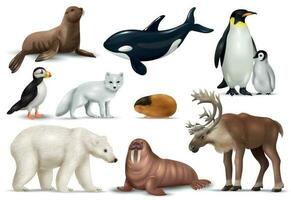 Arctic Animals Set vector