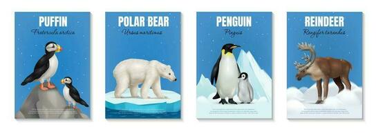 Arctic Animals Posters Set vector