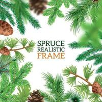 Realistic Spruce Branches Frame vector