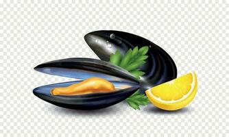 Realistic Mussels Transparent Composition vector