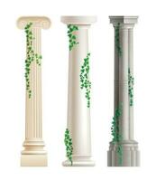 columnas realista conjunto vector