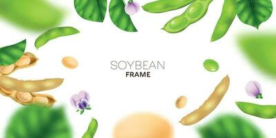 Realistic Soybean Frame vector