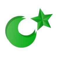 pakistaní islámico icono. islam. vector. vector