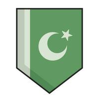 Flat design Pakistani flag pennant icon. Vector. vector