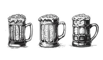 Beer hand drawn illustrations, vector. vector