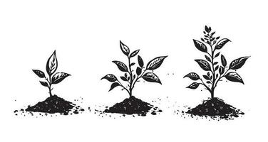 Gradual tree growth in the ground, hand drawn illustrations, vector. vector