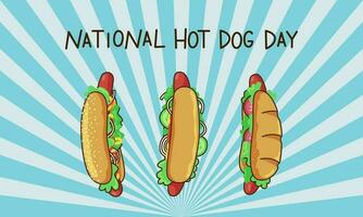 National Hot Dog Day. Banner with an inscription and three hot dogs on a bright background with rays. Vector cartoon illustration with stroke