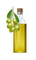 Realistic vector olive branch with bottle of oil isolated on white