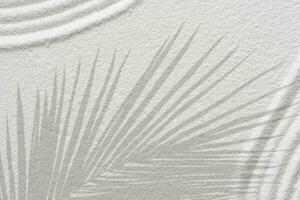 Zen garden white sand with palm leaves shadow on line pattern in Japanese style, Sand texture surface with wave parallel lines,Background Spa Therapy,Purity harmony,Balance,Meditation,Zen like concept photo