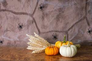 pequeño festivo calabazas mentira en el mesa con un ramo de flores de amarillo orejas y arañas en el pared foto