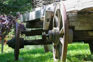 An old wooden cart with large wheels in the farm with forest background photo