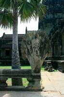 estatua de un naga a angkor wat en siem recoger foto