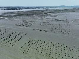 Aerial view of Oyster farm. Sustainable farming. Oyster farming is an aquaculture practice. Oyster farming at Ang Sila town, Chonburi, Thailand. Landscape oyster beds at low tide on summer sunny day. photo