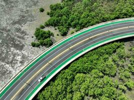 aéreo zumbido ver curva la carretera con verde mangle bosque y marisma playa. manglares capturar co2 natural carbón hundir. azul carbón ecosistemas manglares absorber carbón dióxido. red cero emisiones foto