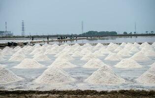 Sea salt farm in Thailand. Brine salt. Raw material of salt industrial. Sodium Chloride. Evaporation and crystallization of sea water. Worker working on a farm. Salt harvesting. Agriculture industry. photo