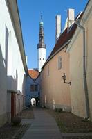 Pedestrian street in Tallinn photo