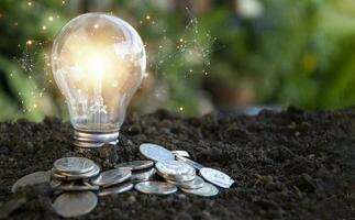 New creative ideas, innovation, brainstorming, inspiration and problem solving ideas. light bulb on the ground photo