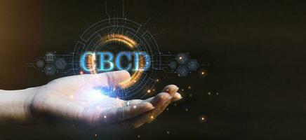 A CBDC, in simple terms, is a digital currency issued by a country central bank. It can legally be used as a settlement just like fiat currency or regular paper money. photo