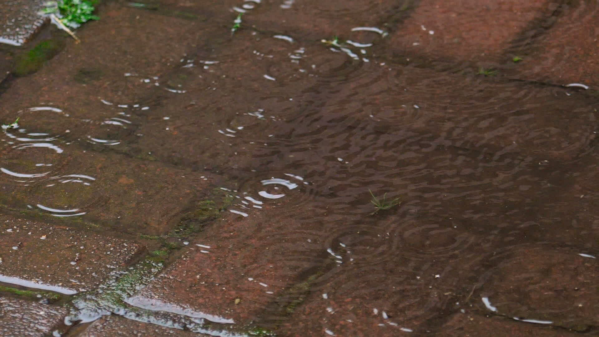 Falling raindrops into puddle, slow motion 26332656 Stock Video at Vecteezy